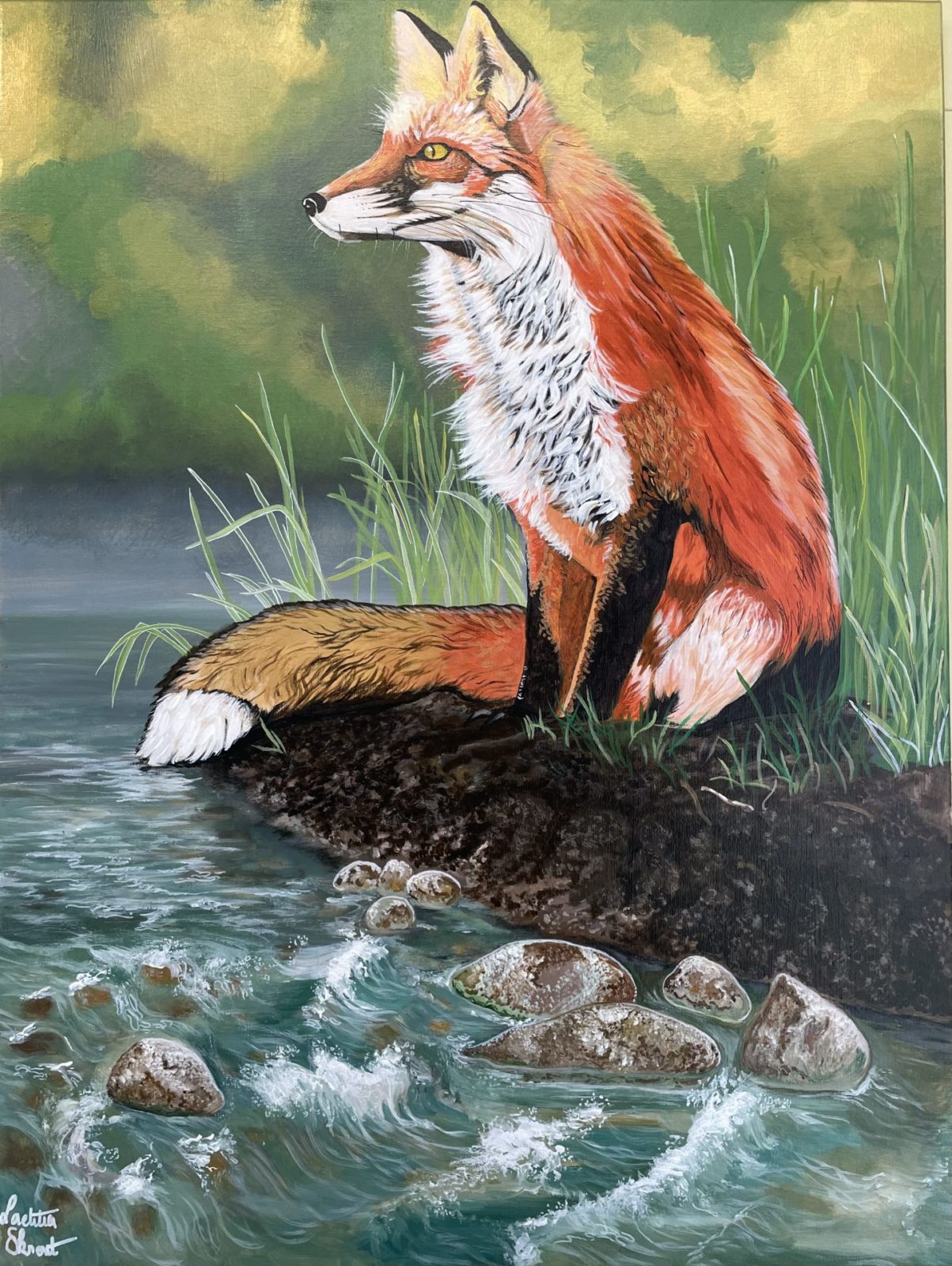illustration